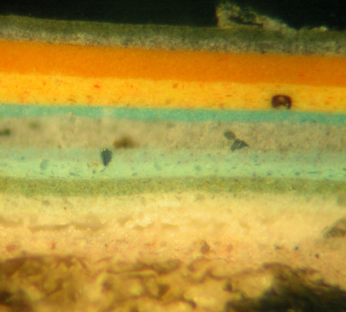 Photomicrograph of BLET-4
