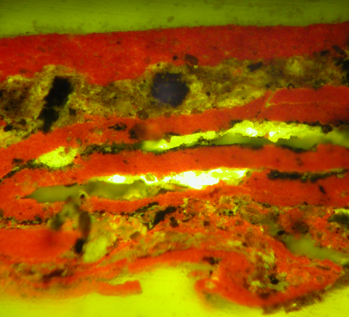 Cross section of paint sample under UV Light (x250)
