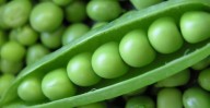 Fresh Peas - with thanks to Gerry the Cook