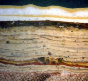 Cross Section of Paint from the Stairs